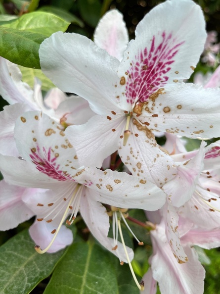 23-06-03 16-36-06 5785.jpeg